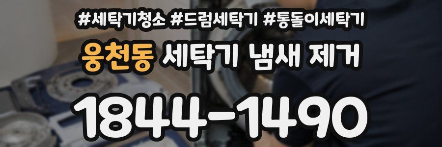 웅천동 세탁기 냄새 제거