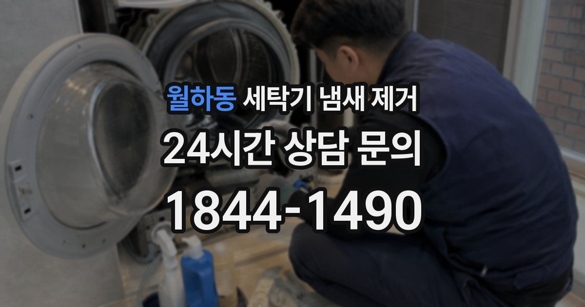 월하동 세탁기 냄새 제거