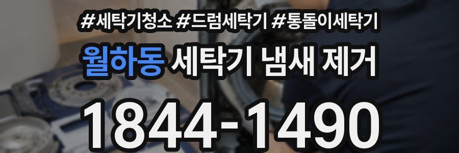 월하동 세탁기 냄새 제거