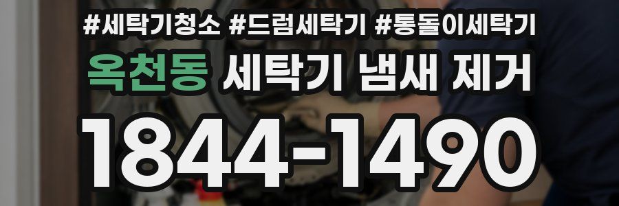 옥천동 세탁기 냄새 제거