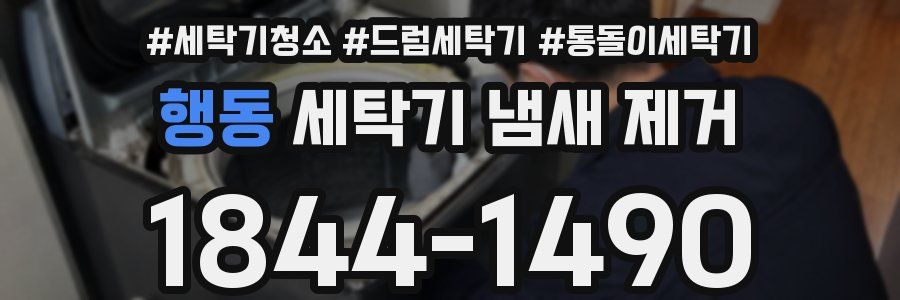 행동 세탁기 냄새 제거