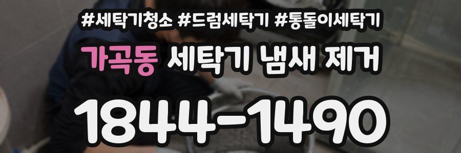 가곡동 세탁기 냄새 제거