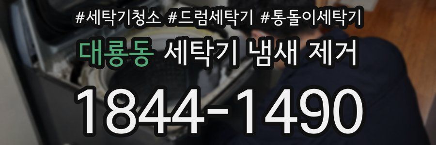 대룡동 세탁기 냄새 제거