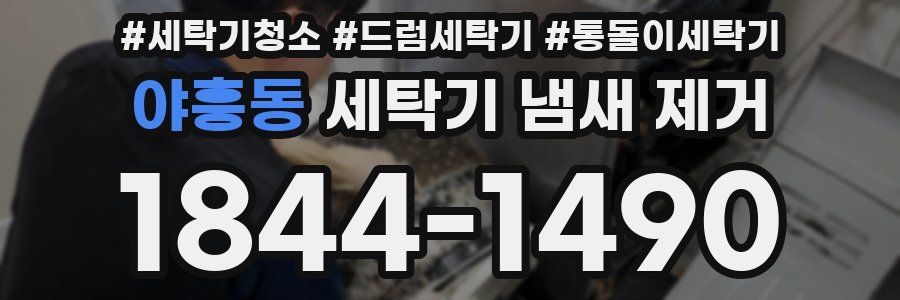 야흥동 세탁기 냄새 제거