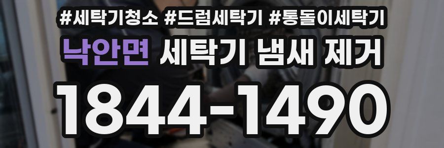 낙안면 세탁기 냄새 제거