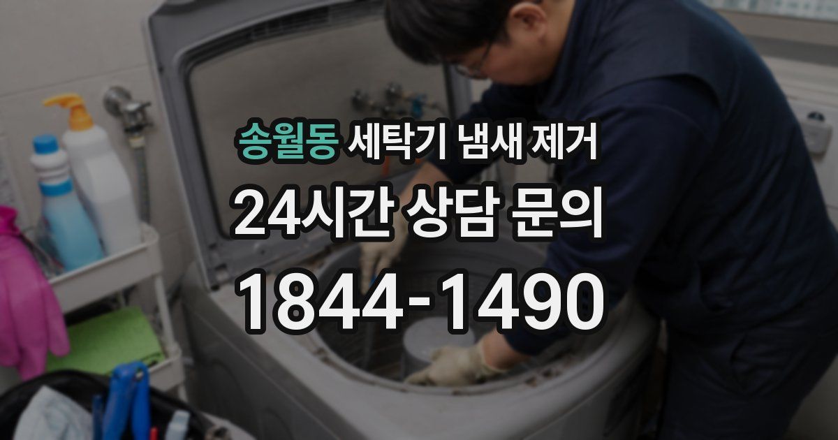 송월동 세탁기 냄새 제거