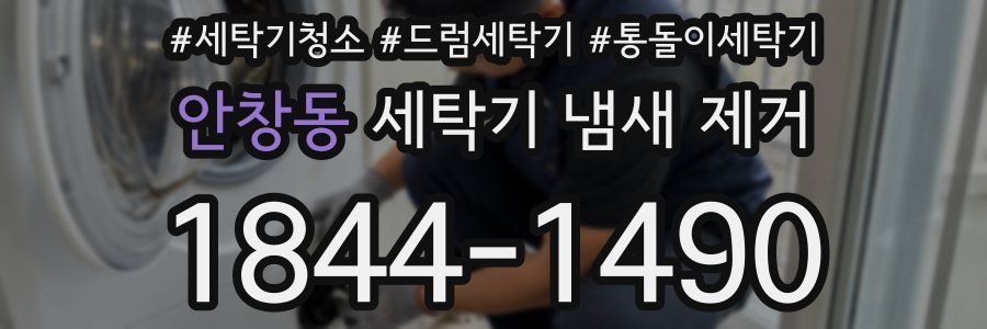 안창동 세탁기 냄새 제거