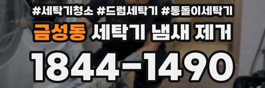 금성동 세탁기 냄새 제거
