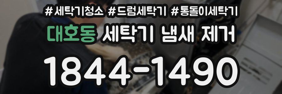 대호동 세탁기 냄새 제거