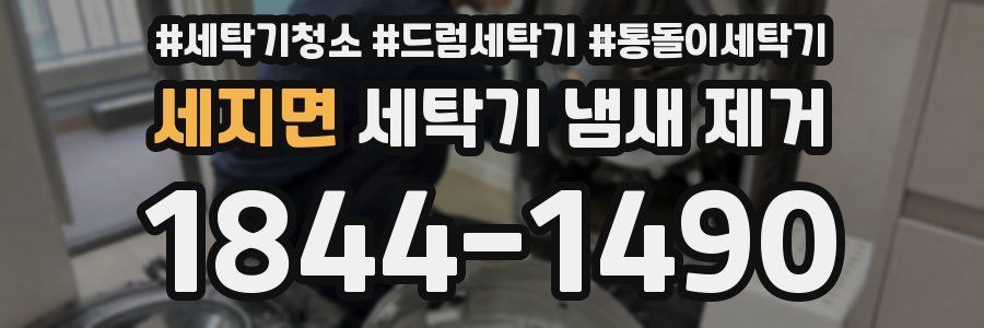 세지면 세탁기 냄새 제거