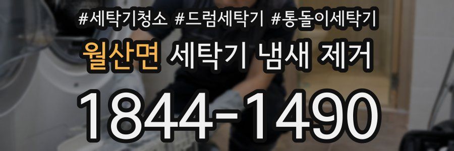 월산면 세탁기 냄새 제거