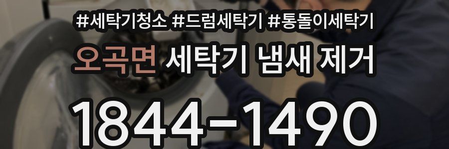 오곡면 세탁기 냄새 제거