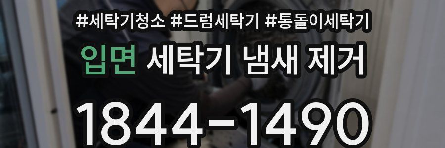 입면 세탁기 냄새 제거
