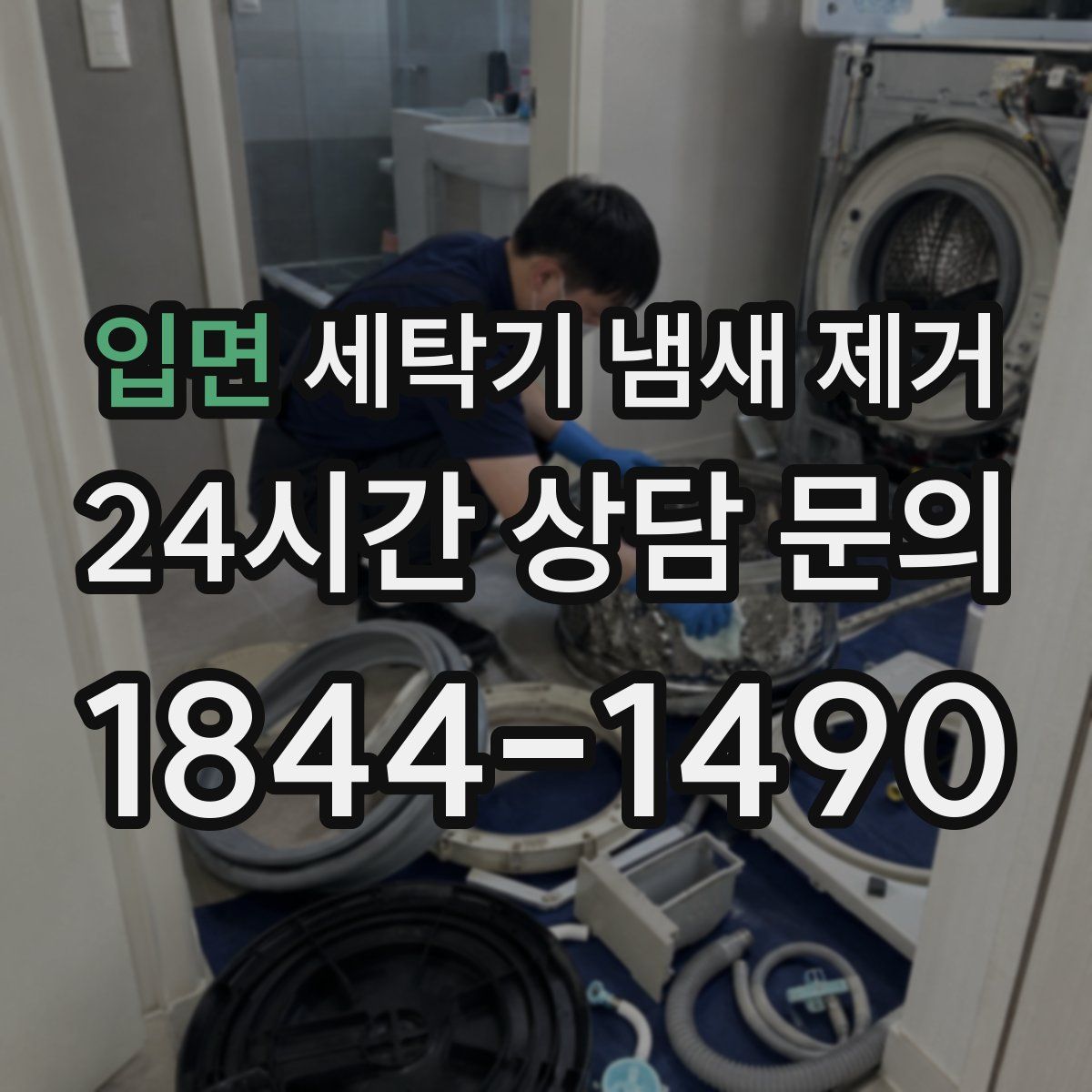 입면 세탁기 냄새 제거