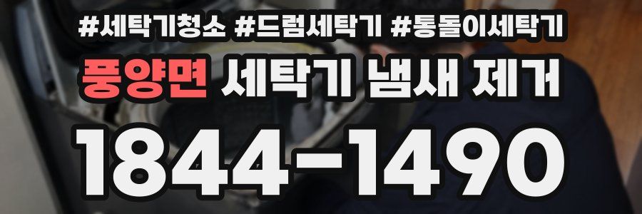 풍양면 세탁기 냄새 제거