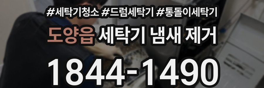 도양읍 세탁기 냄새 제거