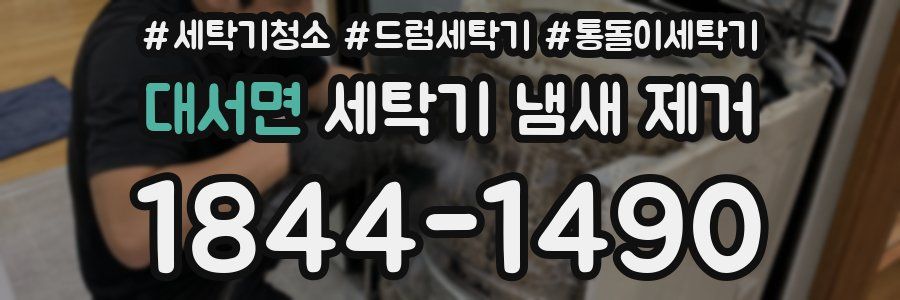 대서면 세탁기 냄새 제거