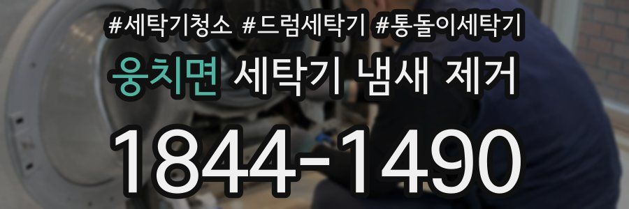 웅치면 세탁기 냄새 제거