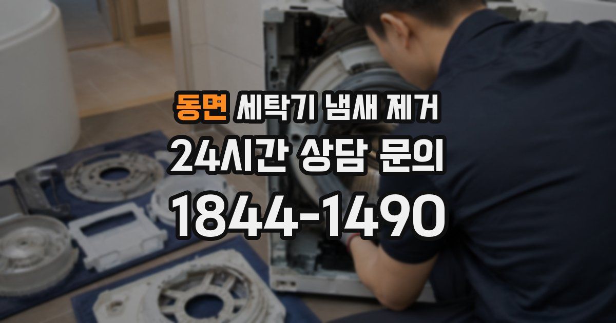 동면 세탁기 냄새 제거