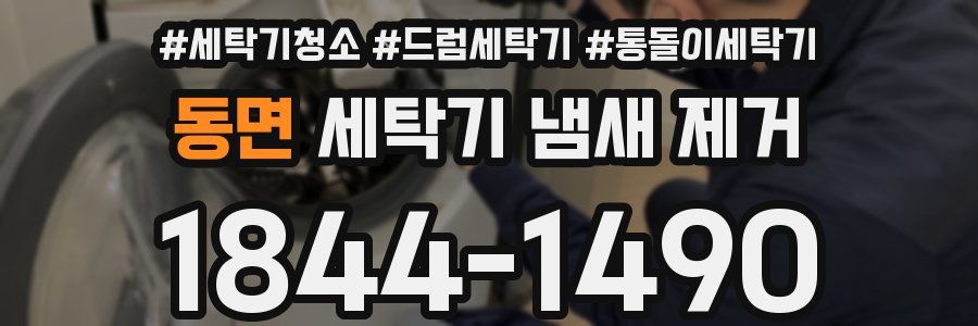 동면 세탁기 냄새 제거