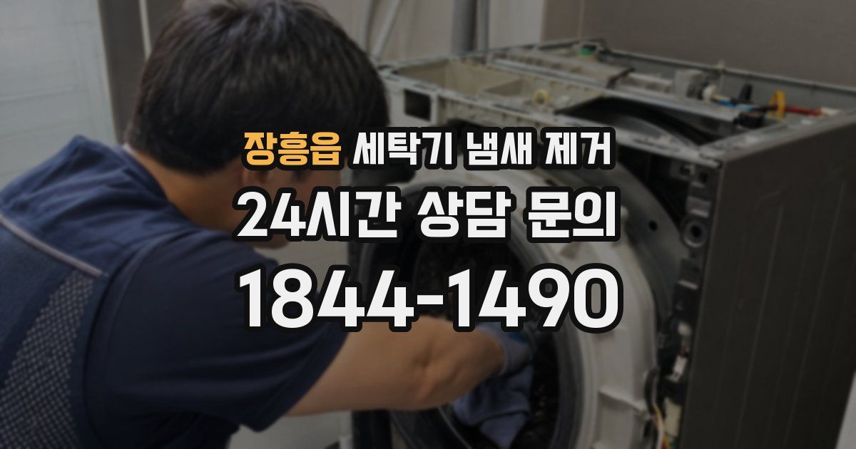장흥읍 세탁기 냄새 제거