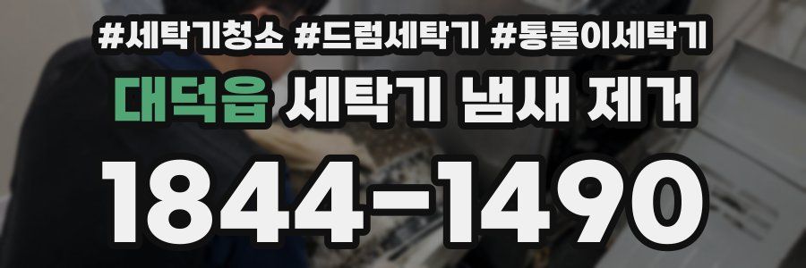 대덕읍 세탁기 냄새 제거
