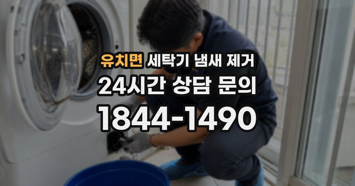 유치면 세탁기 냄새 제거
