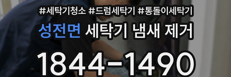 성전면 세탁기 냄새 제거
