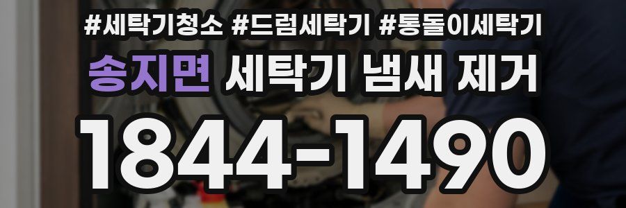 송지면 세탁기 냄새 제거