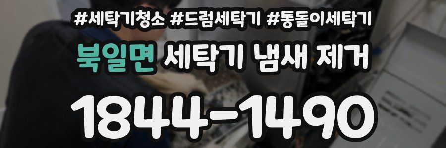 북일면 세탁기 냄새 제거