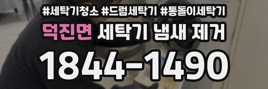 덕진면 세탁기 냄새 제거