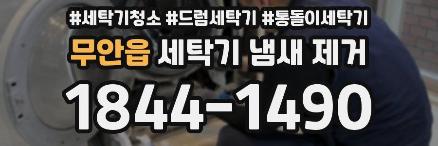 무안읍 세탁기 냄새 제거