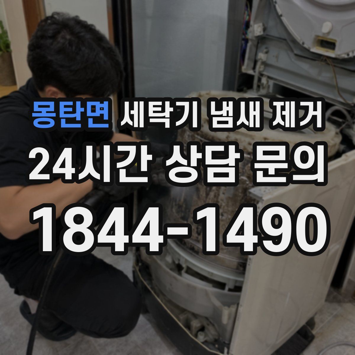몽탄면 세탁기 냄새 제거