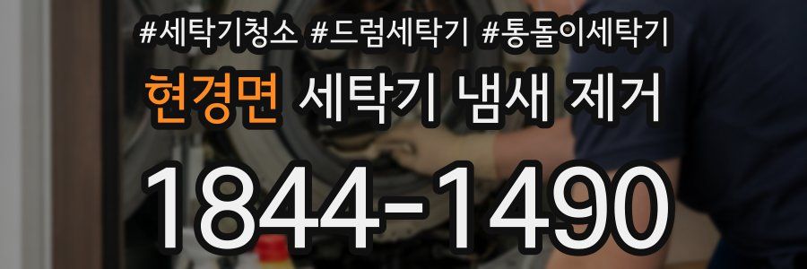 현경면 세탁기 냄새 제거