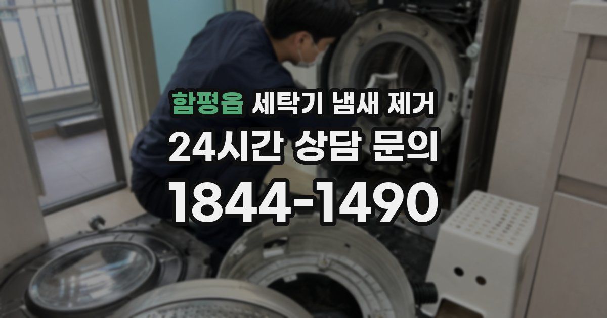 함평읍 세탁기 냄새 제거