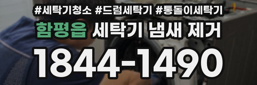 함평읍 세탁기 냄새 제거