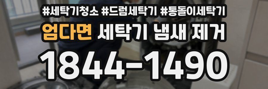 엄다면 세탁기 냄새 제거