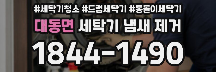대동면 세탁기 냄새 제거