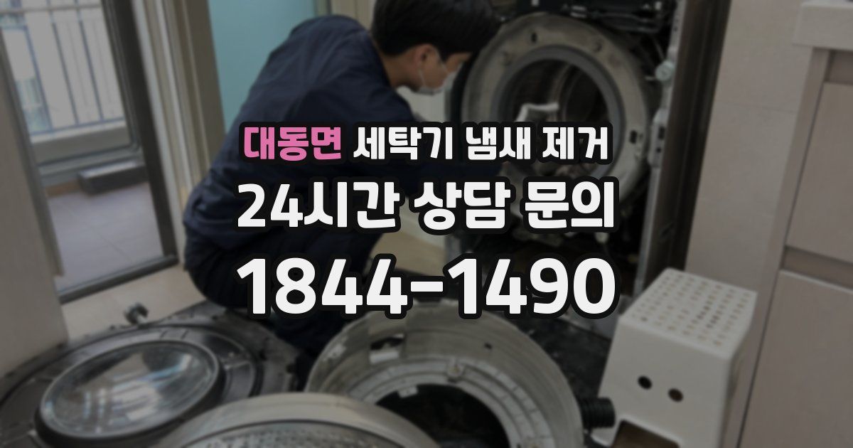 대동면 세탁기 냄새 제거
