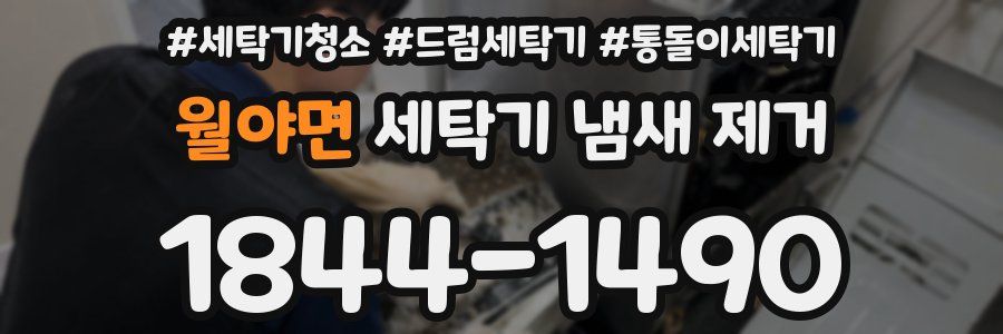 월야면 세탁기 냄새 제거