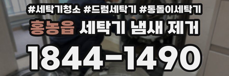 홍농읍 세탁기 냄새 제거