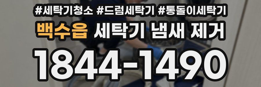 백수읍 세탁기 냄새 제거