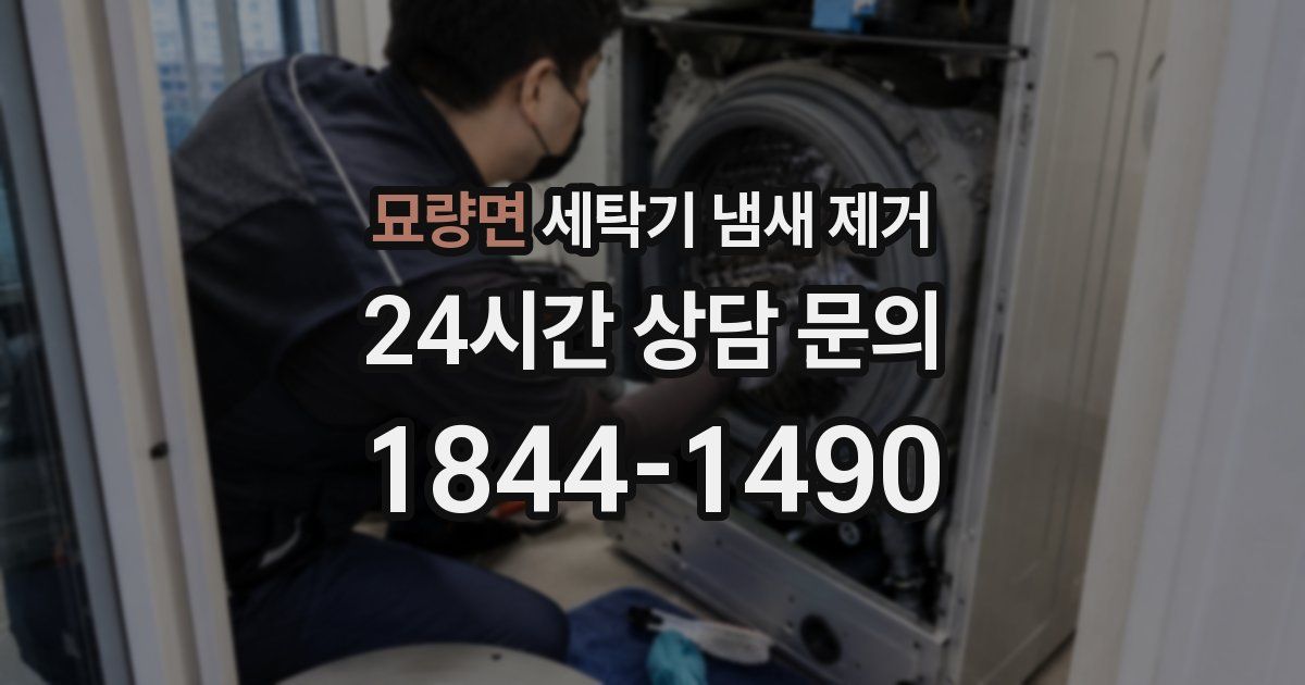 묘량면 세탁기 냄새 제거