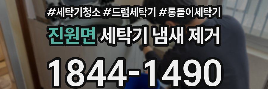 진원면 세탁기 냄새 제거