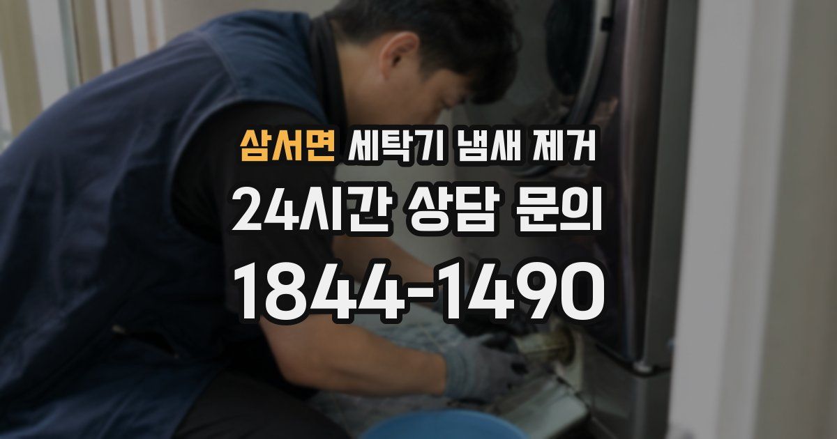 삼서면 세탁기 냄새 제거