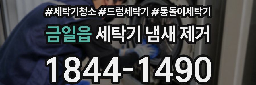 금일읍 세탁기 냄새 제거