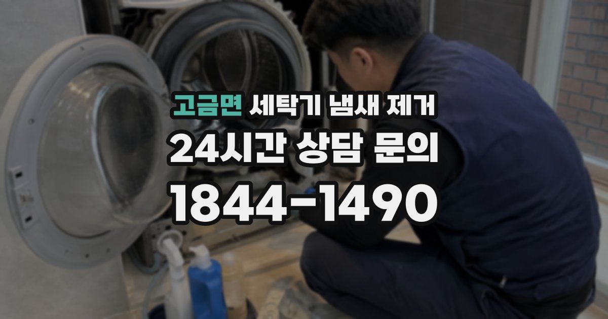 고금면 세탁기 냄새 제거