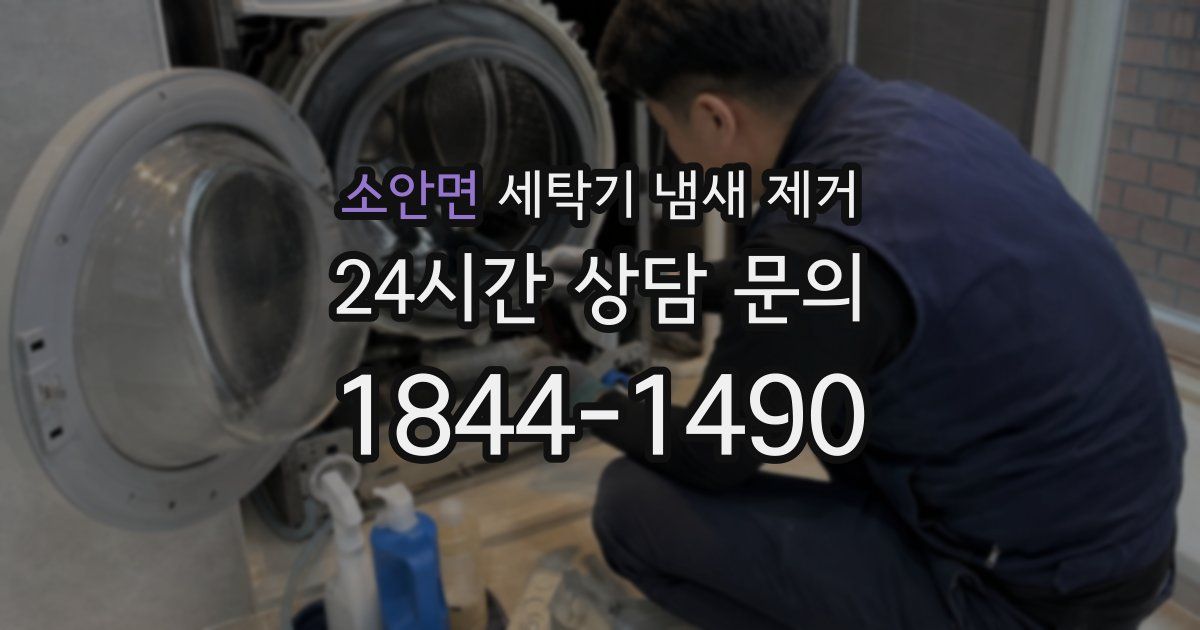 소안면 세탁기 냄새 제거