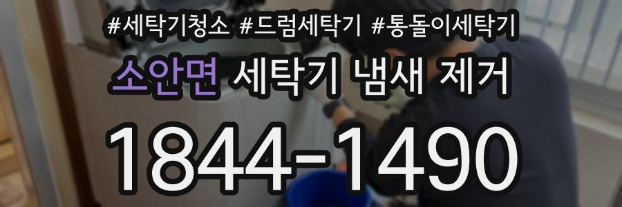소안면 세탁기 냄새 제거