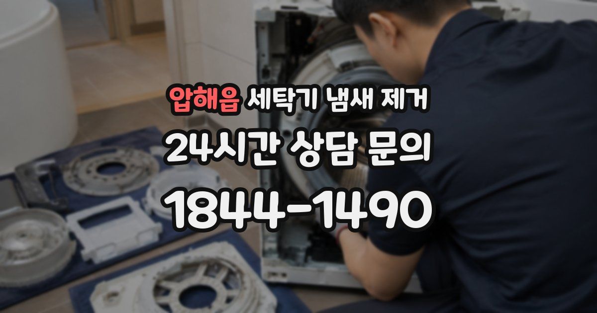 압해읍 세탁기 냄새 제거